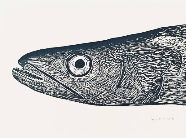 - a , Print by Mark Lord, measuring 15 x 20 cm (H x W) £10